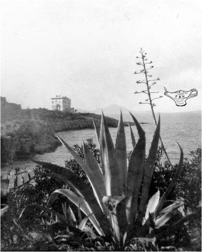 1907-Lussingrande-Villa-Punta-coll.-F.-Neretich